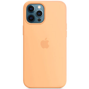 Чохол Silicone case (AAA) with Magsafe для Apple iPhone 12 Pro / 12 (6.1")