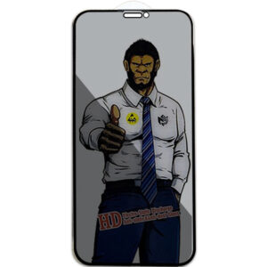 Захисне скло Privacy 5D Anti-Static (тех.пак) для Apple iPhone 11 / XR (6.1")