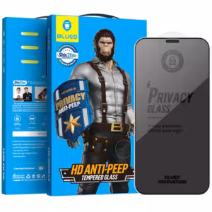 Захисне 2.5D скло Blueo Full Cover Anti-Peep для Apple iPhone 12 Pro Max (6.7")